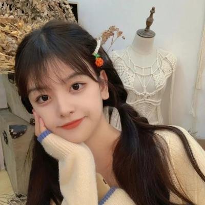 精灵宝可梦:大家的故事